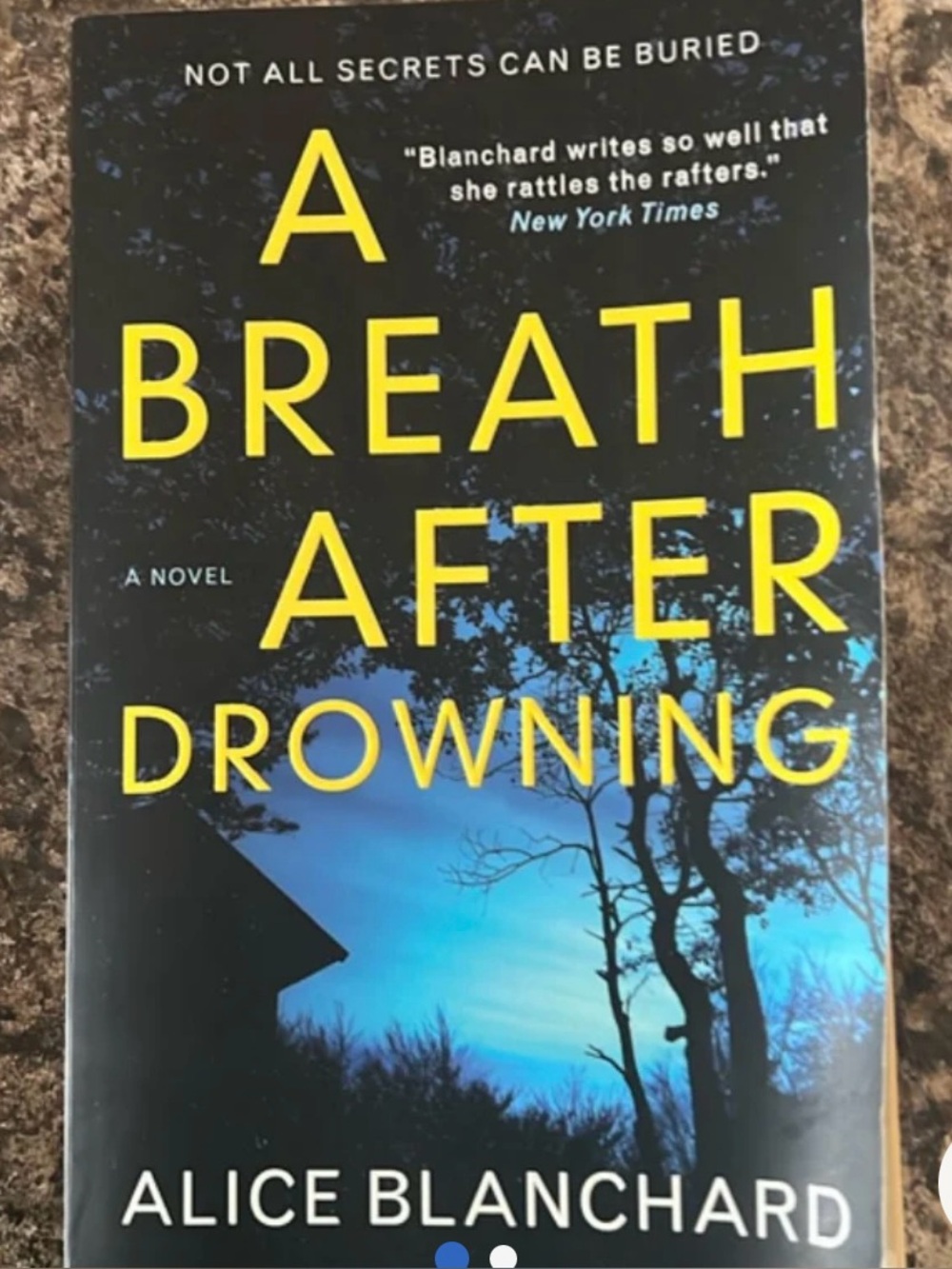 A Breath After Drowning by Alice Blanchard